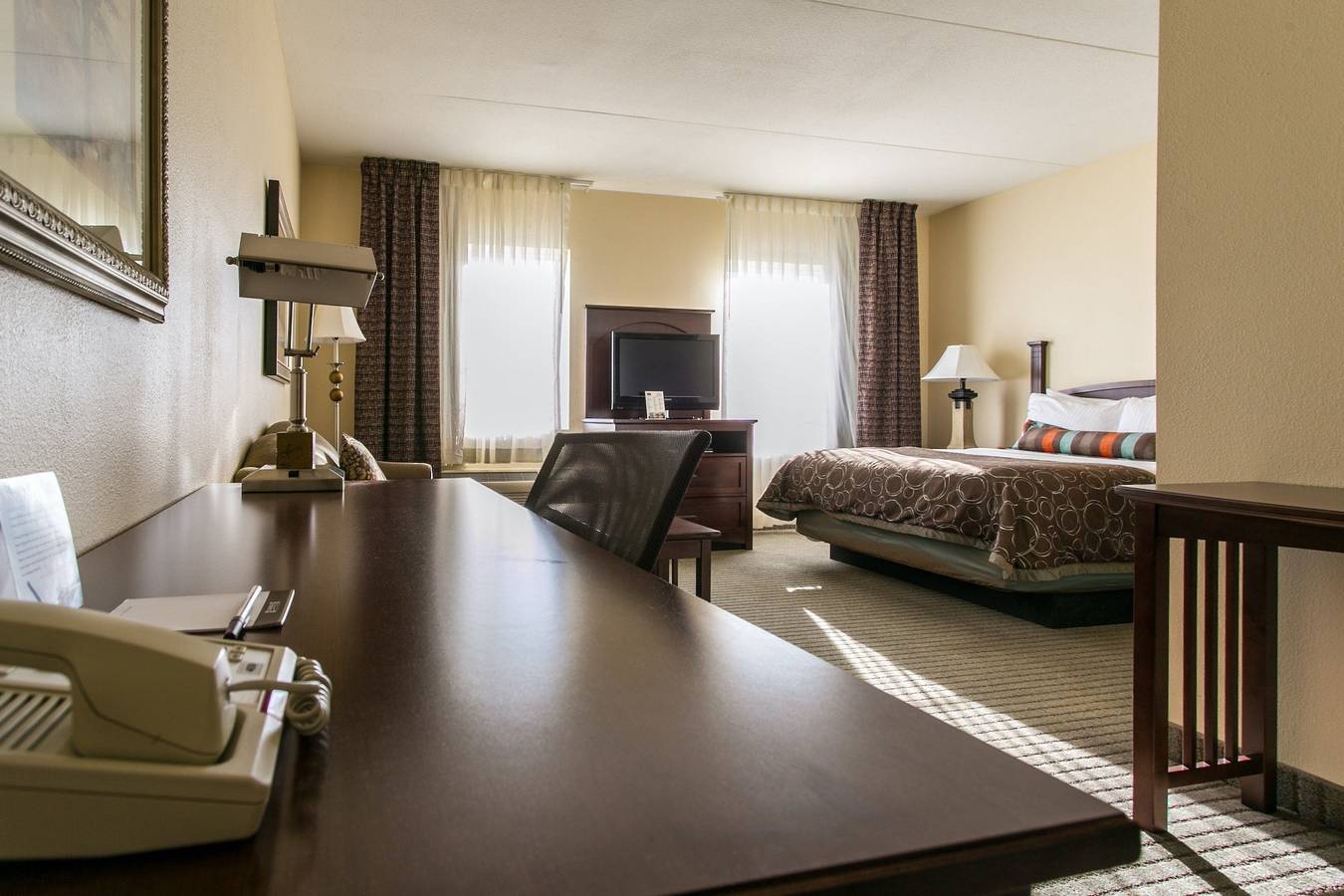 Ganzes Studio, Staybridge Suites Chattanooga-Hamilton Place in Chattanooga, Hamilton County (TN)