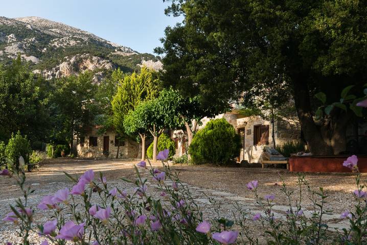 Studio für 3 Personen, mit Garten, mit Haustier in Griechische Inseln