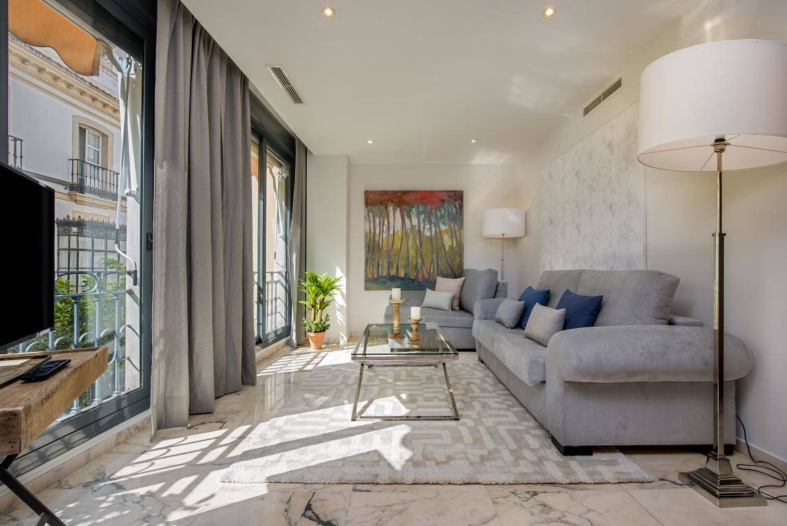 Entire apartment, Luxury 2 bedrooms apartment near the Cathedral. Vinuesa Ii in Casco Antiguo, Sevilla