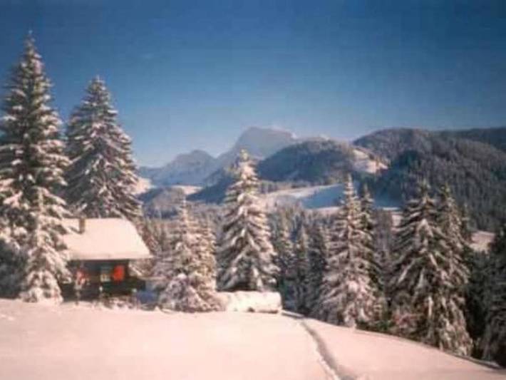 Location de vacances pour 4 personnes, avec balcon et jardin à Châtel-Saint-Denis - 2