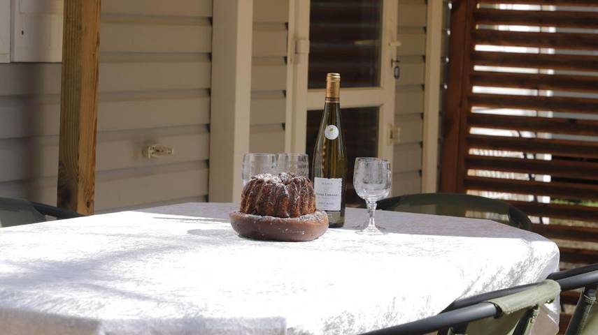 Location de vacances pour 5 personnes, avec terrasse et piscine à Boofzheim - 2