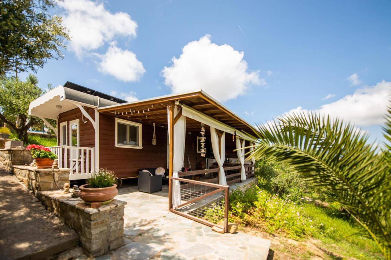 Hakuna Matata Holidays wooden lodge with airco & pool in Greek Olive Grove in Messenia