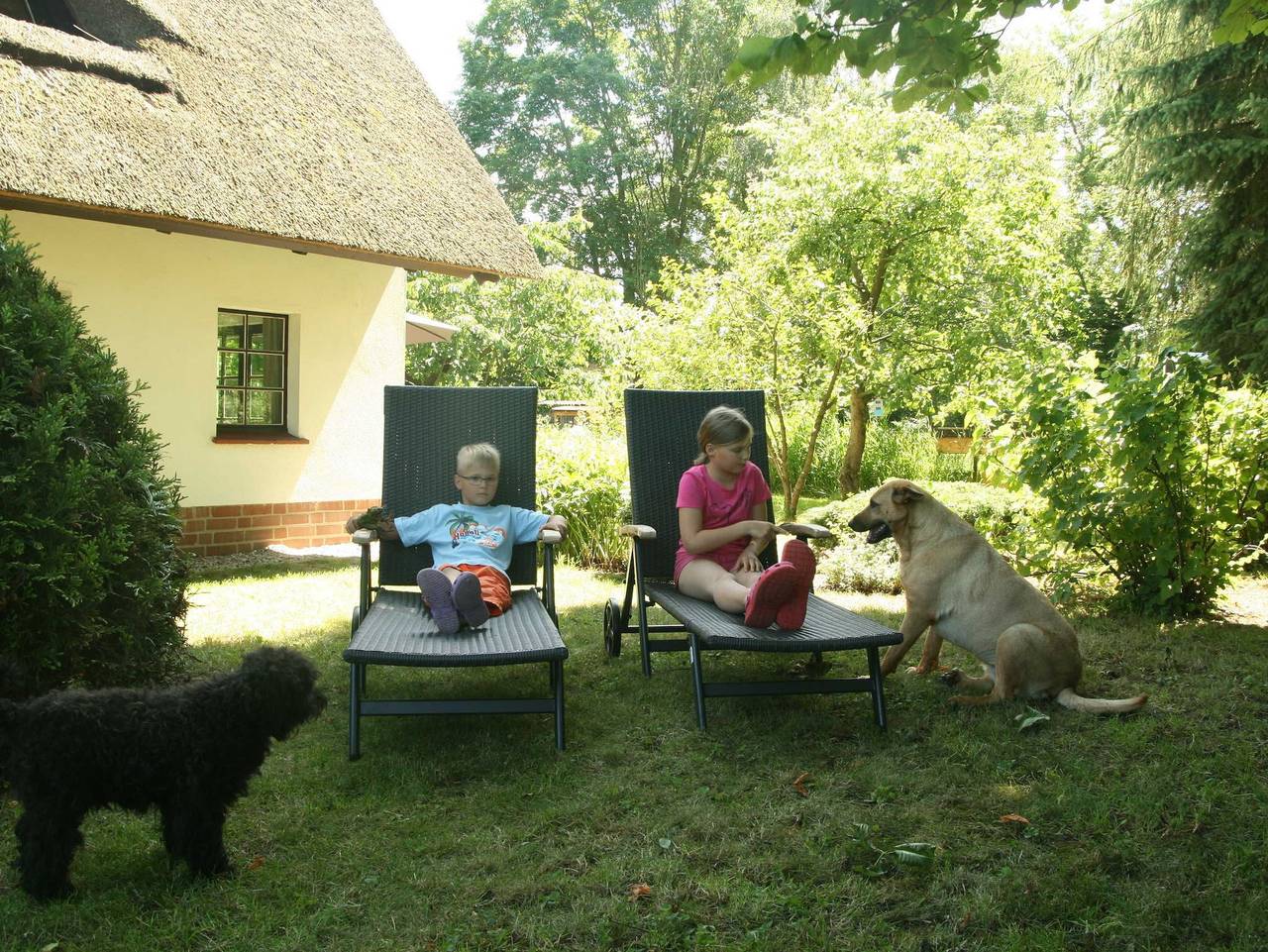 Reetdach Ferienhaus nahe Ostseebad Kühlungsborn - Reetdach Kastanienhaus (52m², 3-Raum, max 4 Pers.) in Gersdorf, Biendorf