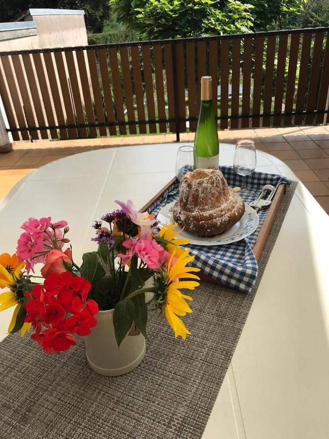 Location de vacances pour 4 personnes, avec vue et balcon à Niedernai