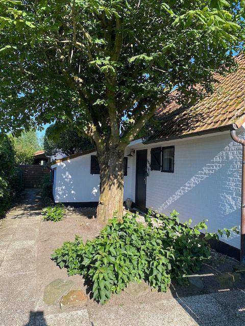 Ferienhaus für 6 Personen, mit Terrasse und Garten, mit Haustier in De Panne - 2