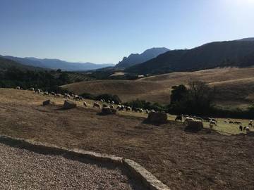 Chambre d’hôte pour 2 personnes, avec terrasse ainsi que jardin et vue à Sartène