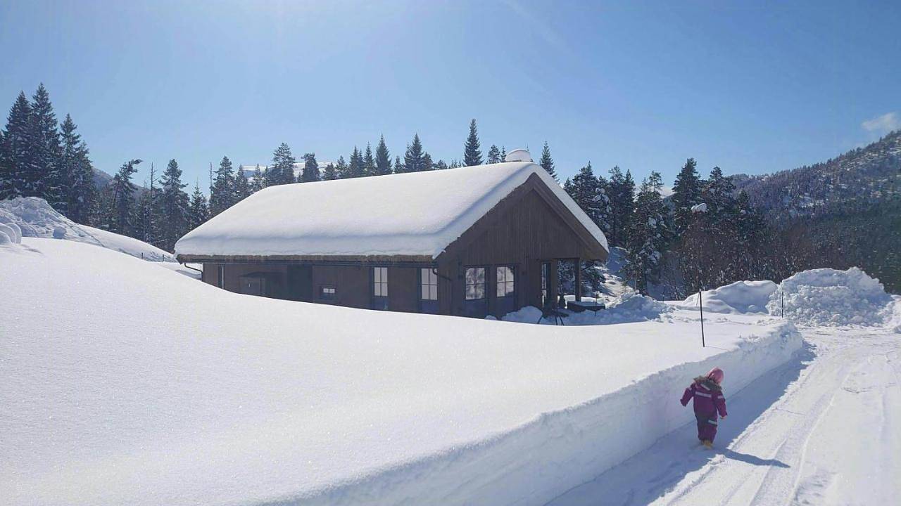 Cabin With Ski Inout Near Stryn Alpine Resort in Stryn 