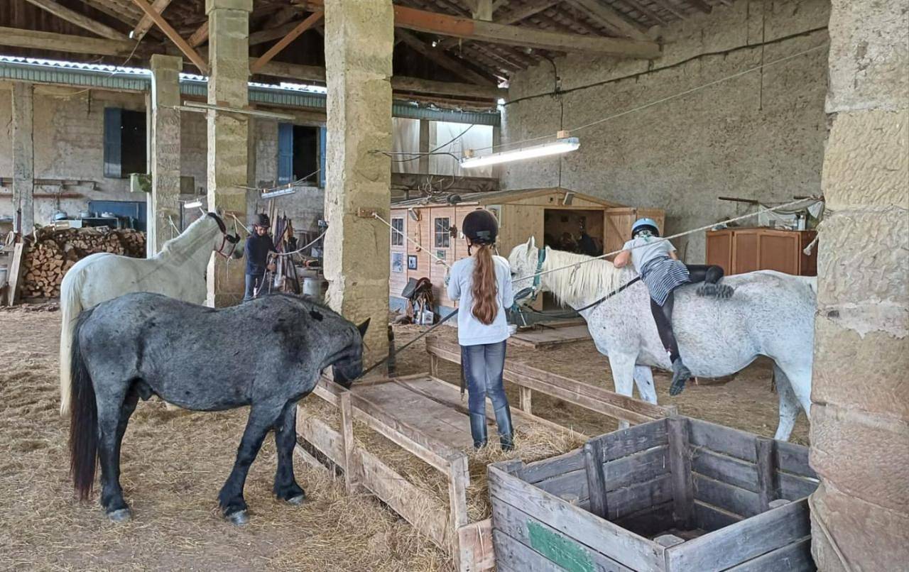 Mobilhome Ferme équestre La Mouillère in Chalabre, Région de Limoux