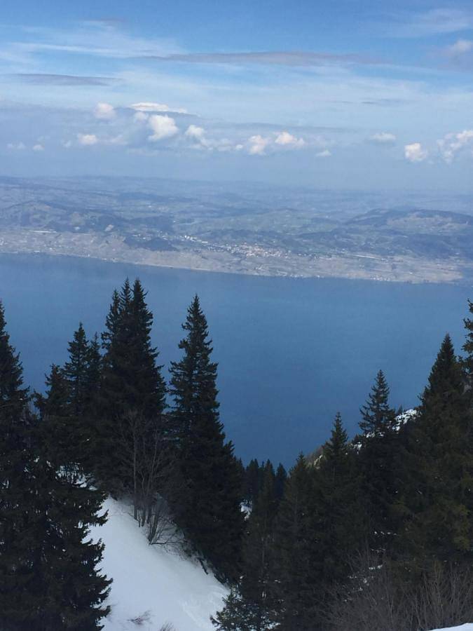 Location de vacances pour 10 personnes, avec vue sur le lac et piscine ainsi que jardin et vue, animaux acceptés à Lugrin - 3