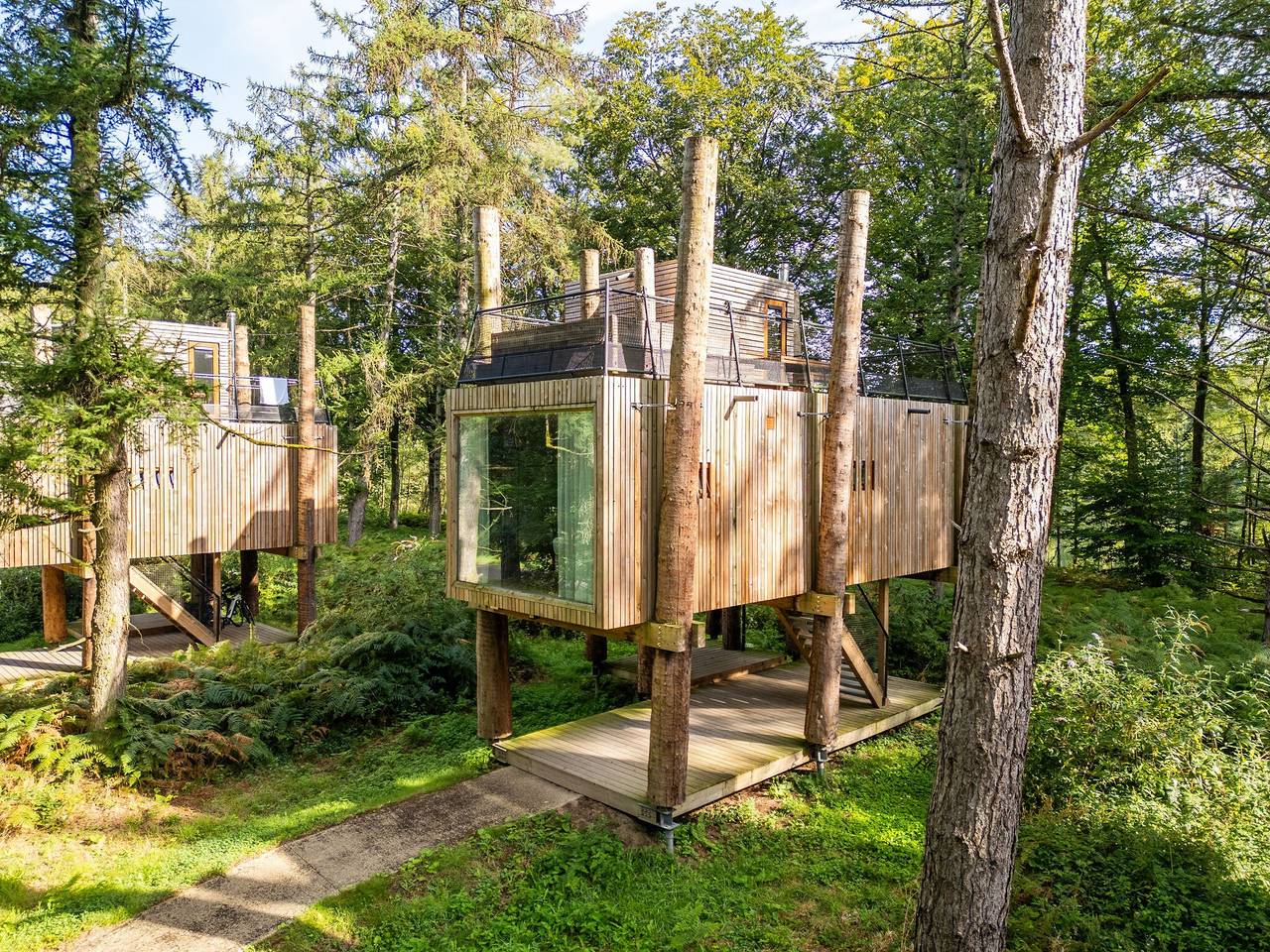 Luxury Treehouse Retreat in Hainaut