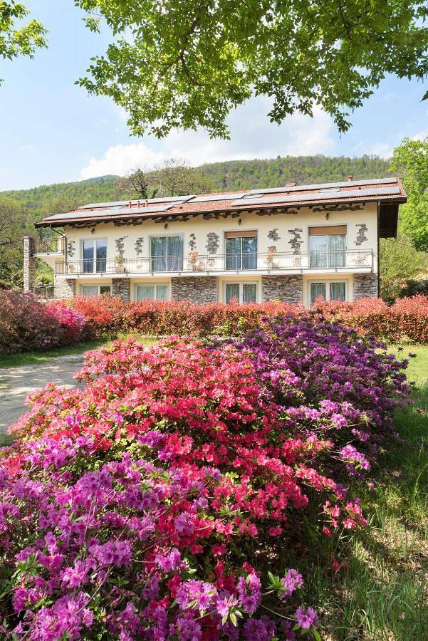 Alloggio in famiglia per 2 persone, con Balcone e Terrazza nonché Giardino e Piscina sul Lago Maggiore