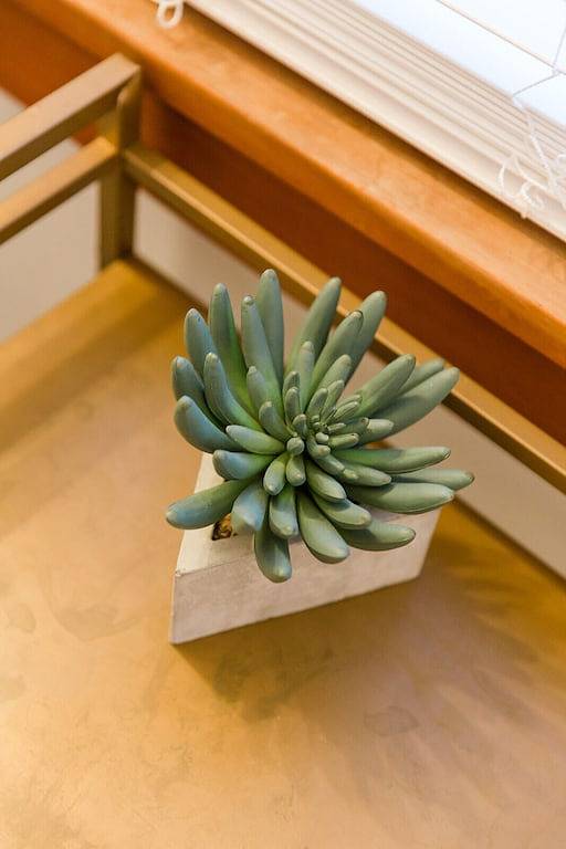 Schöne, historische Blockhütte für Familien / Paare Kurzurlaub riesigen Whirlpool in Elkhart County