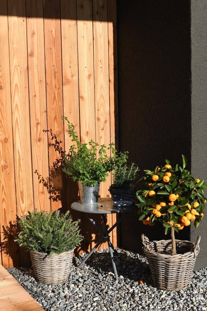 Ganze Ferienwohnung, Design-Ferienwohnung mit Traumterrasse und Garten nähe Bodensee in Bodensee (Schweiz)