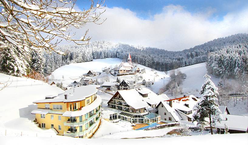 Hotel für 3 Personen, mit Sauna und Pool sowie Garten und Whirlpool, mit Haustier in Wolfach - 3