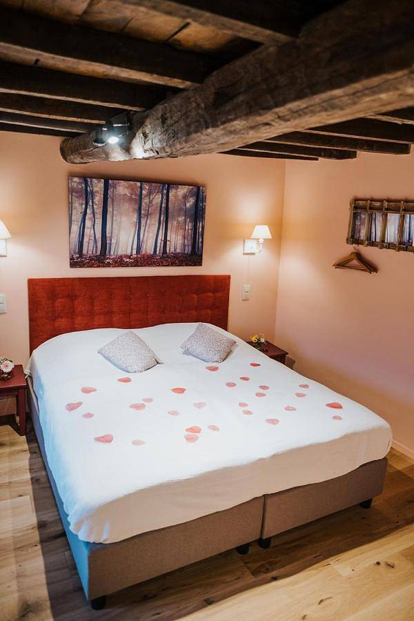 Location de vacances pour 14 personnes, avec jardin et terrasse à Mettet - 3