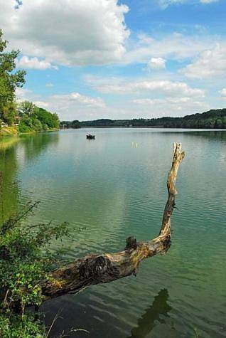 Maison Les Cygnes face au lac in Changey, Haute-Marne
