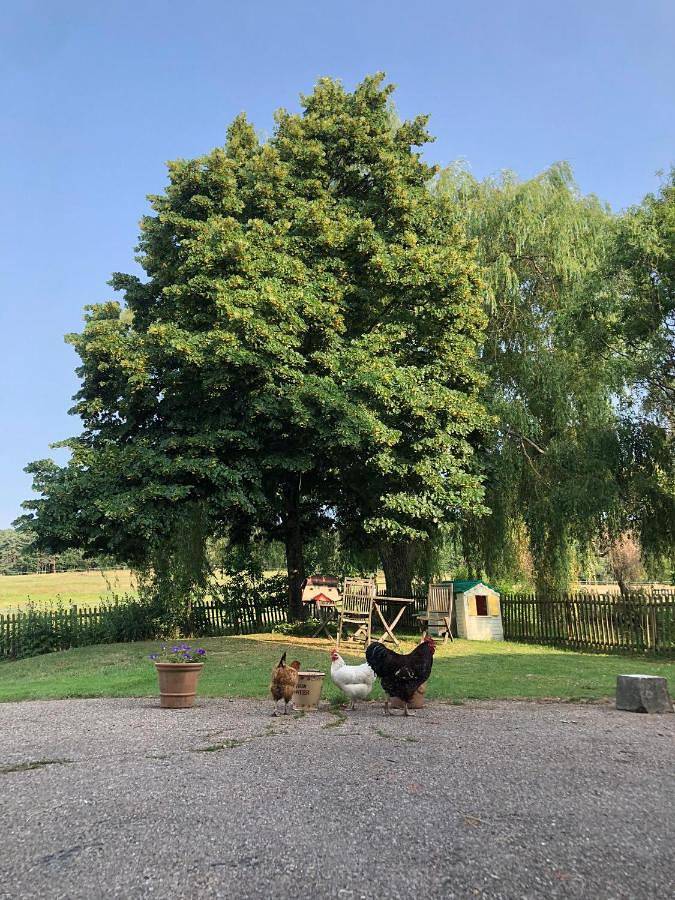 Chambre d’hôte pour 6 personnes, avec vue ainsi que piscine et jardin dans la Loire - 4