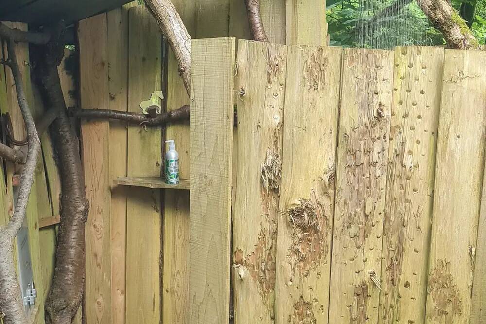 Traditional Yurt, woodburner, private loo, outdoor shower, woodfired hottub. in Gloucestershire