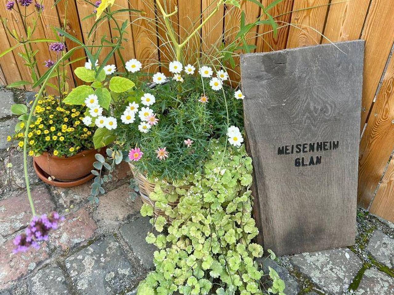 Ferienhaus Zeitmeise - Ferienhaus, Dusche und Badewanne, 3 Schlafräume in Meisenheim, Pfälzer Bergland