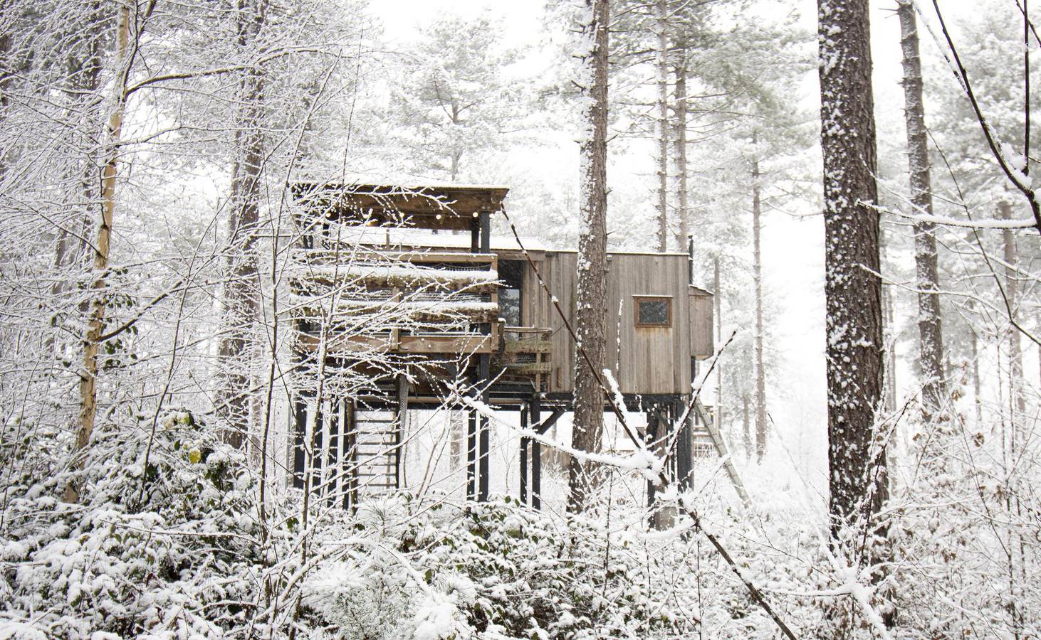 Recreatiedomein Warredal — Treetop in Maaseik, Hoge Kempen