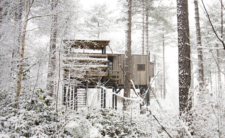 Recreatiedomein Warredal — Treetop