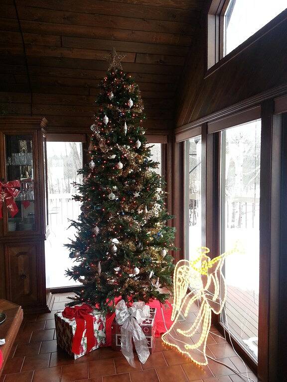 Ferienhaus für 28 Personen, mit Balkon und Whirlpool sowie Sauna und Pool - 1