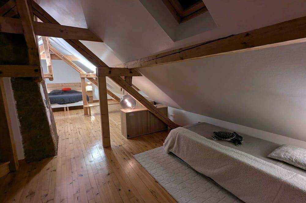 Charming Alsatian house - Panoramic view, Wine Route & Christmas Markets in Molsheim, Bas-Rhin Alsacia