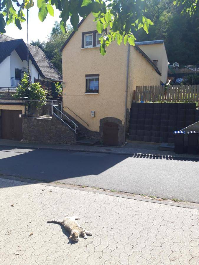 Ferienwohnung für 2 Personen, mit Terrasse und Ausblick in Kobern-Gondorf
