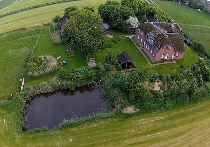 Ganze Ferienwohnung, Graugans in Badestelle Schütting, Pellworm
