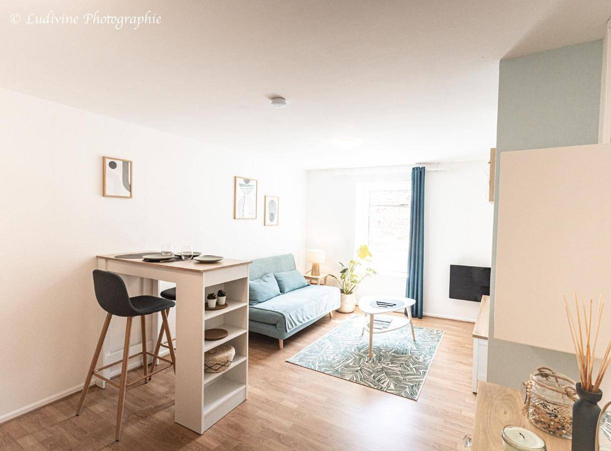 Appartement entier, One-Bedroom Apartment in Sierck-les-Bains, Moselle