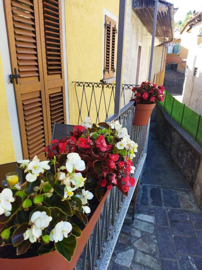 Location de vacances pour 4 personnes, avec vue sur le lac et terrasse dans Pettenasco - 4