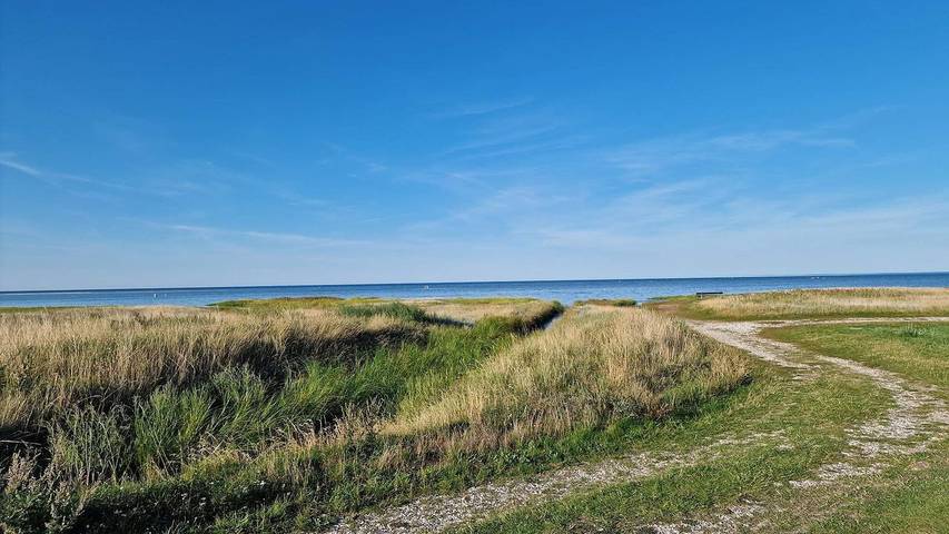 Ferienhaus für 7 Personen, mit Terrasse und Sauna in St. Sjørup - 3