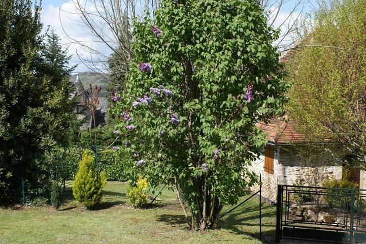 Location de vacances pour 5 personnes, avec vue et jardin, animaux acceptés à Altillac - 2