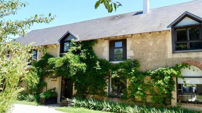 Location de vacances pour 4 personnes, avec jardin et piscine ainsi que sauna et jacuzzi à Angles-sur-l'Anglin - 2