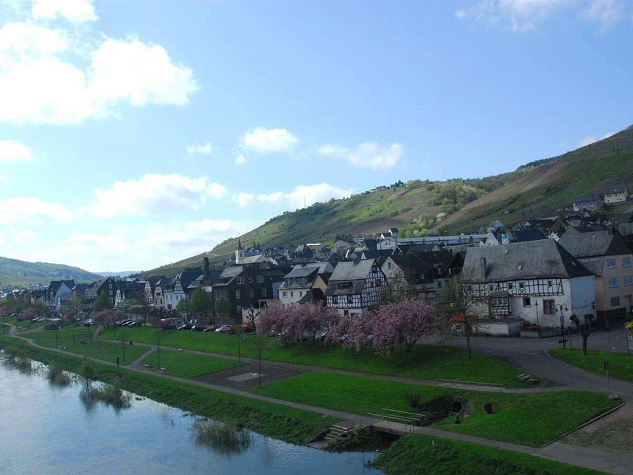 Ganze Ferienwohnung, Weingut Peter Barzen - Appartement/Fewo, Dusche und Badewanne, 2 Schlafrä in Reil, Bernkastel-Kues & Umgebung