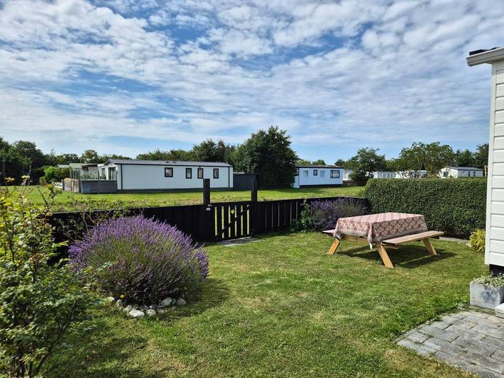 Ferienhaus für 5 Personen, mit Pool und Garten sowie Terrasse in Petten - 3