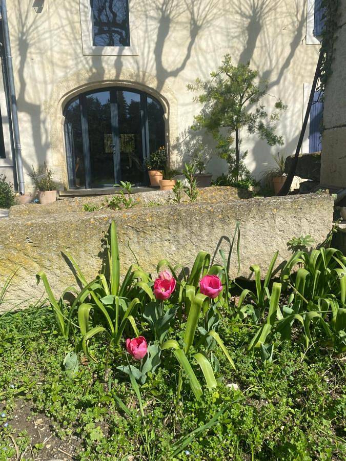 Gîte pour 3 personnes, avec jardin et jacuzzi à Saint-Andiol - 2