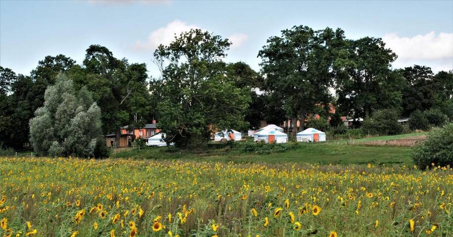 Zelt für 4 Personen, mit Terrasse und Garten sowie Sauna und Ausblick in Velgast - 2