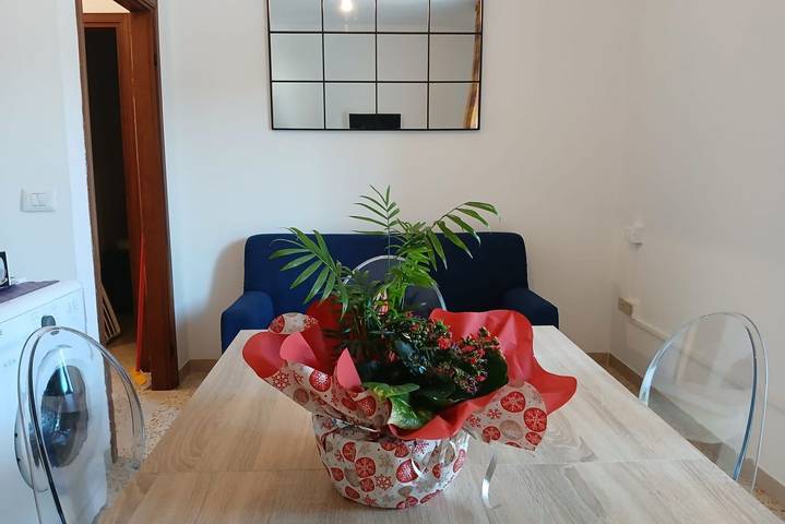 Gîte pour 5 personnes, avec Balcon/Terrasse et Jardin à Cervia - 4