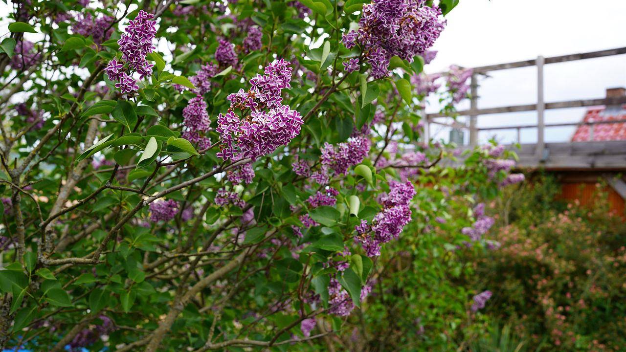 Ganze Ferienwohnung, Ferienwohnung für 4 Personen (60 m²) in Ehrenberg (Hessen) in Ehrenberg, Rhön-Hessen