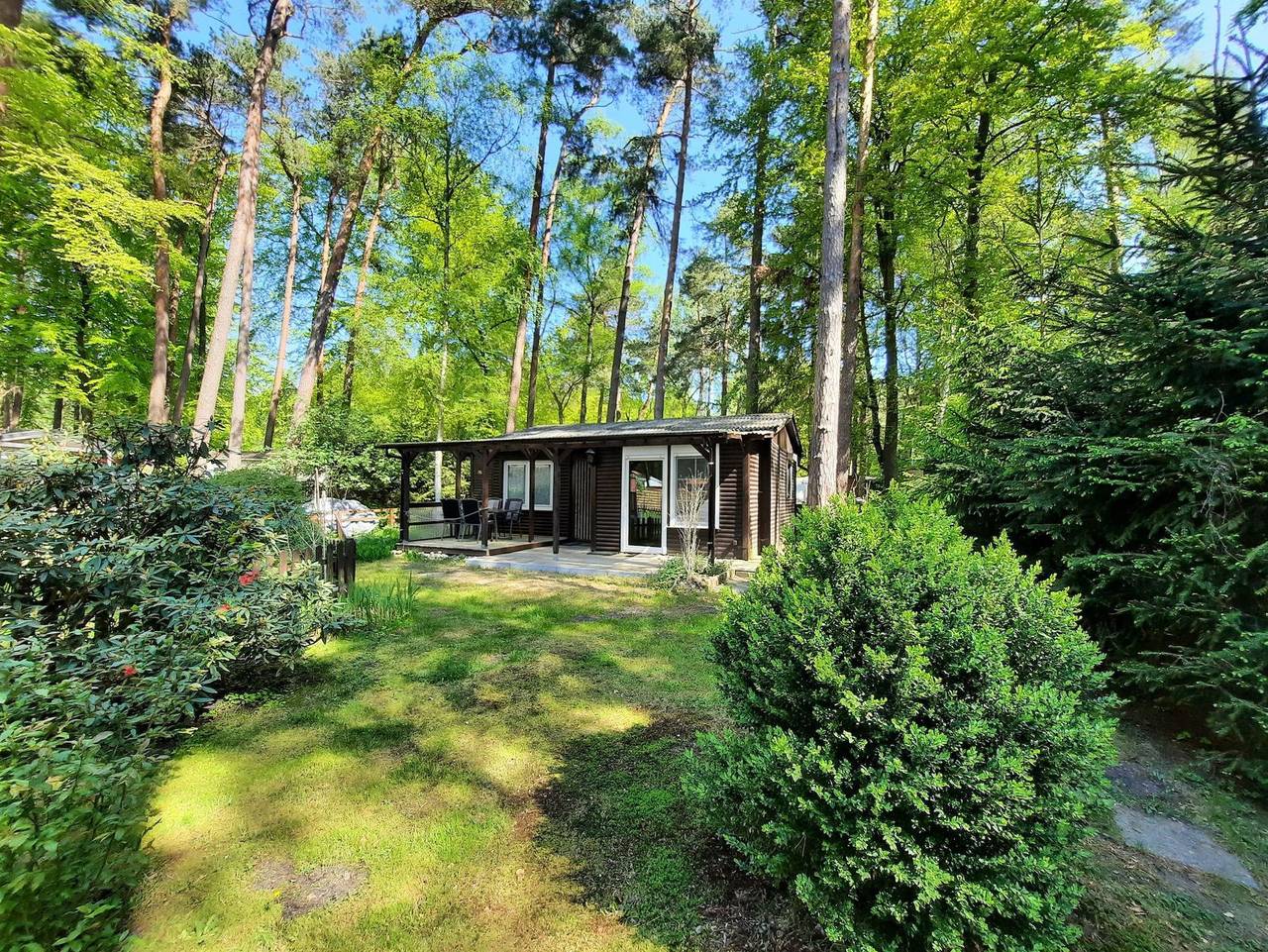 Ferienhaus Dachsbau 58 auf dem Ostseecamp Graal-Müritz - Ferienhaus Dachsbau 58 auf dem Ostseecamp Graal-Müritz in Graal-Müritz, Rostock und Umgebung