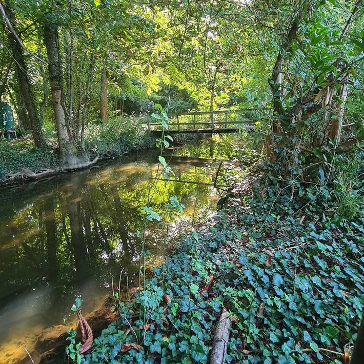 Location de vacances pour 4 personnes, avec vue et jardin à Argent-sur-Sauldre - 2
