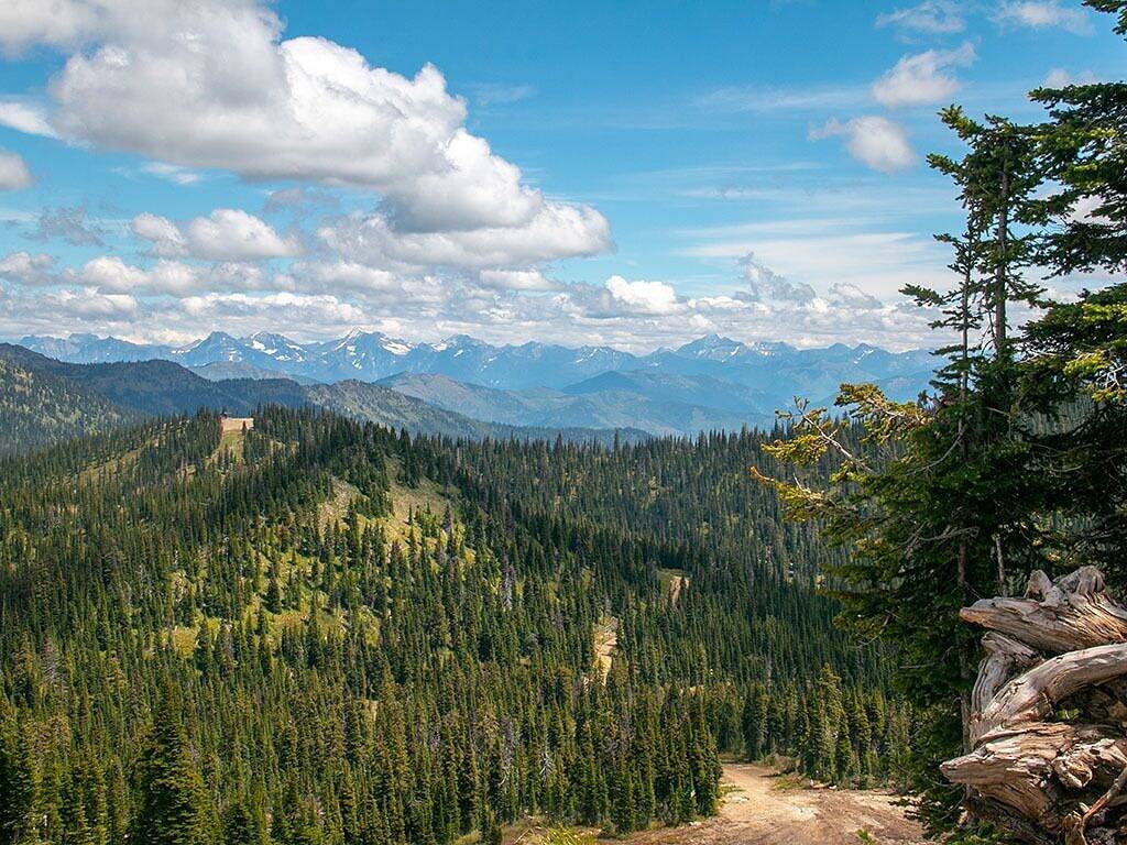 Ganze Wohnung, Cozy On-Mountain Condo in Glacier-Nationalpark