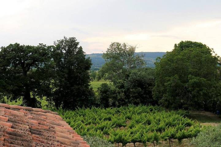 Les Oliviers in Vaison-la-Romaine, Parc naturel régional du Mont-Ventoux