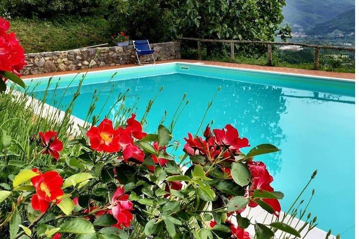 Ferienhaus für 8 Personen, mit Terrasse und Garten, mit Haustier - 1