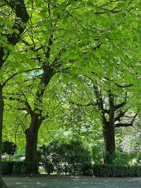 Ferienwohnung für 2 Personen, mit Terrasse und Garten - 1