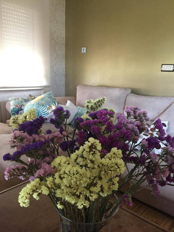 Location de vacances pour 6 personnes, avec jardin et vue, animaux acceptés à Cervo (Espagne) - 3