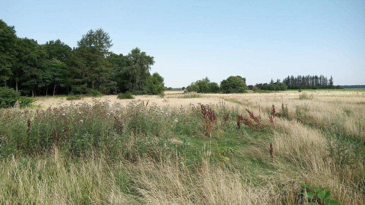 Ferienhaus für 8 Personen (80 m²) in Storvorde in Egense, Limfjord in Nordjütland