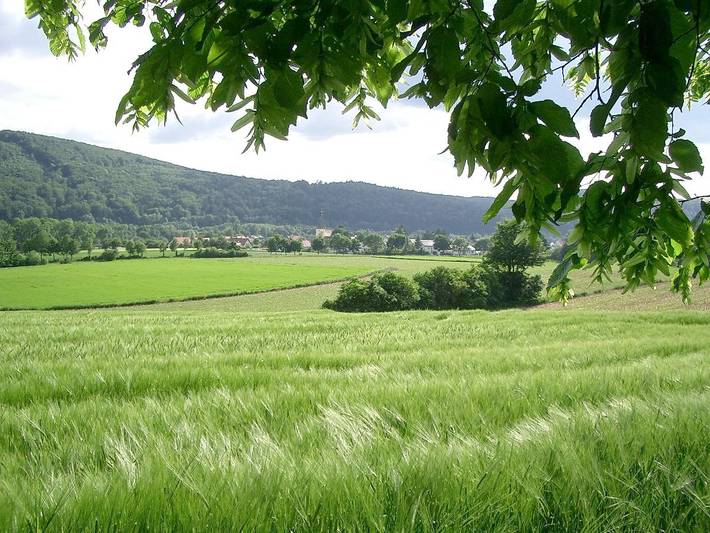 Ganze Wohnung, Ferienwohnung Faber - Ferienwohnung Faber mit großen Südbalkon, elektr. Markise in ruhiger Lage im Altmühltal in Essing, Altmühltal