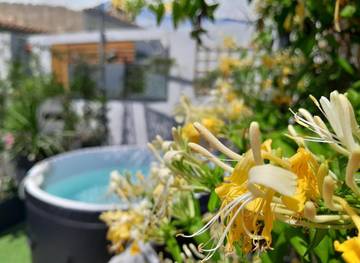 Chambre d’hôte pour 2 personnes, avec jacuzzi et terrasse, adapté aux familles à Aigues-Mortes